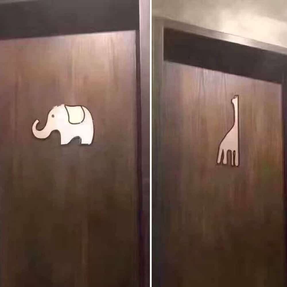 Man Desperate To Pee Baffled By Unusual Toilet Signs – Can You Figure Them Out
