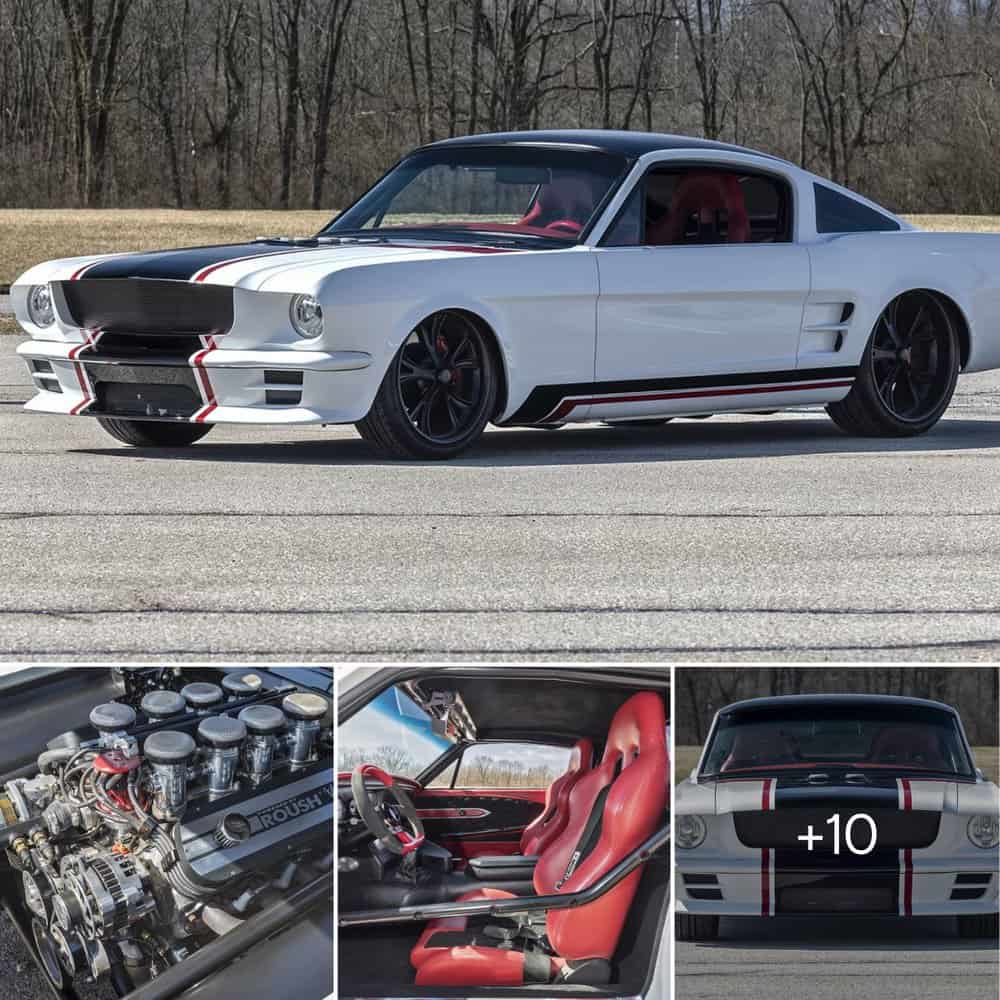 Unleashing The Legend The 1965 Ford Mustang “Vendetta”