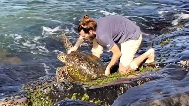 23473230-0-image-m-19_1579172120735