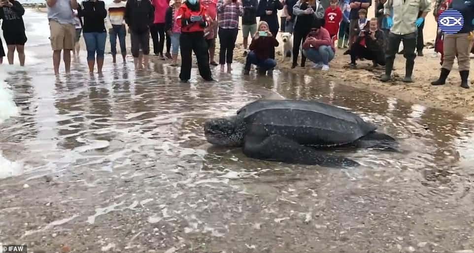 49126963-10088403-image-a-15_1634139800595