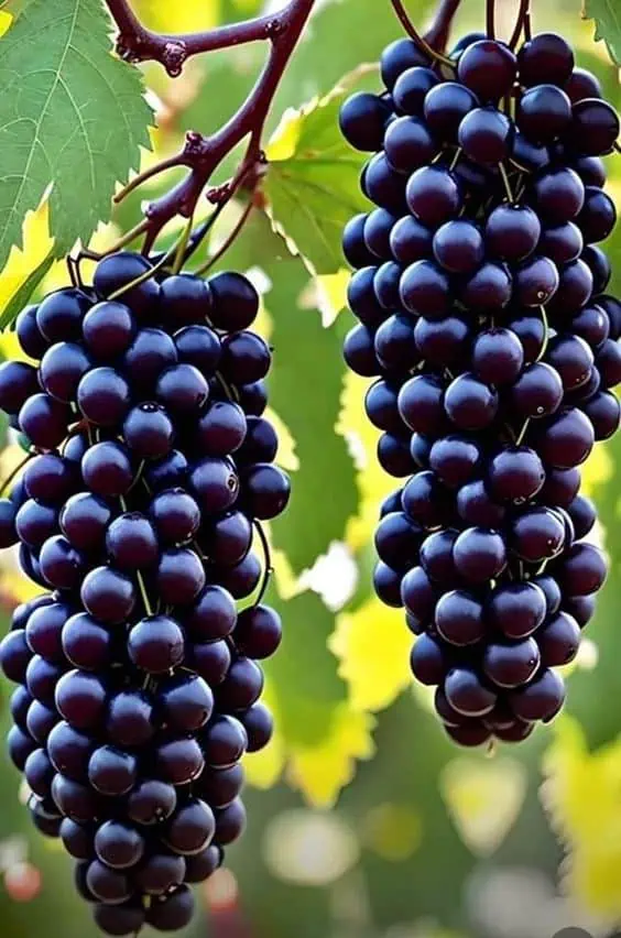 d11e3a38f3ac3f8f028de777d02b6c9d