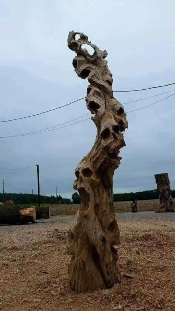 d3f1dbeabf69b9d5d1503cc1b2dbc8a2