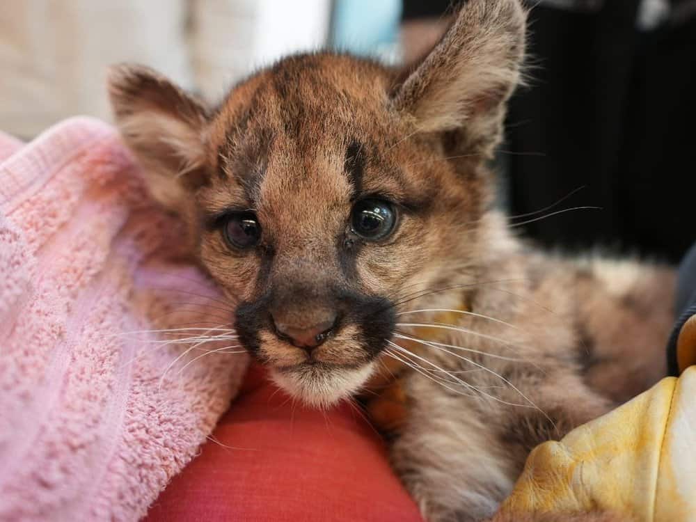 dsc00835___15124545680