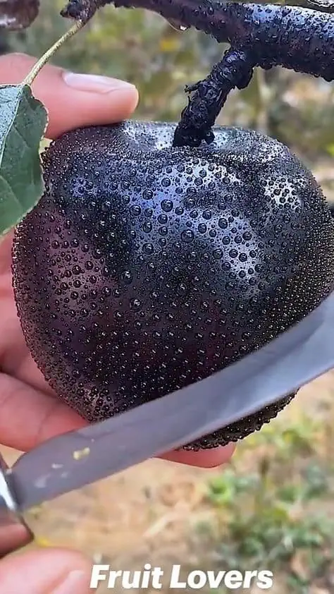 e020d86c63753910e468a7967feda4d8