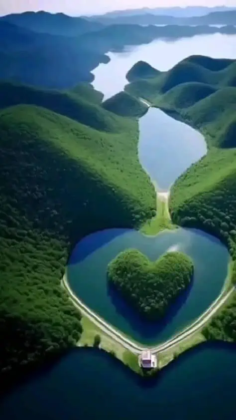 Mục này có hình ảnh của: