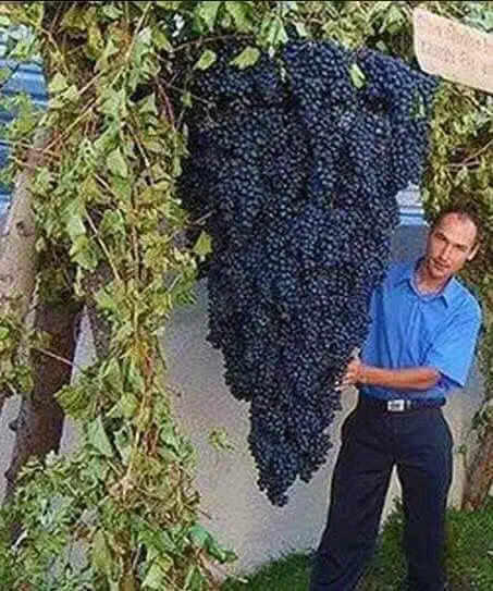 f7cd09055d60b1b507628b64c4d2d380