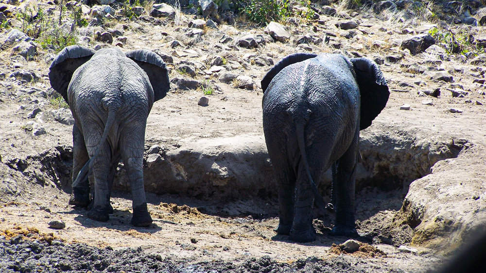 jill-mathew-100_0705-edited