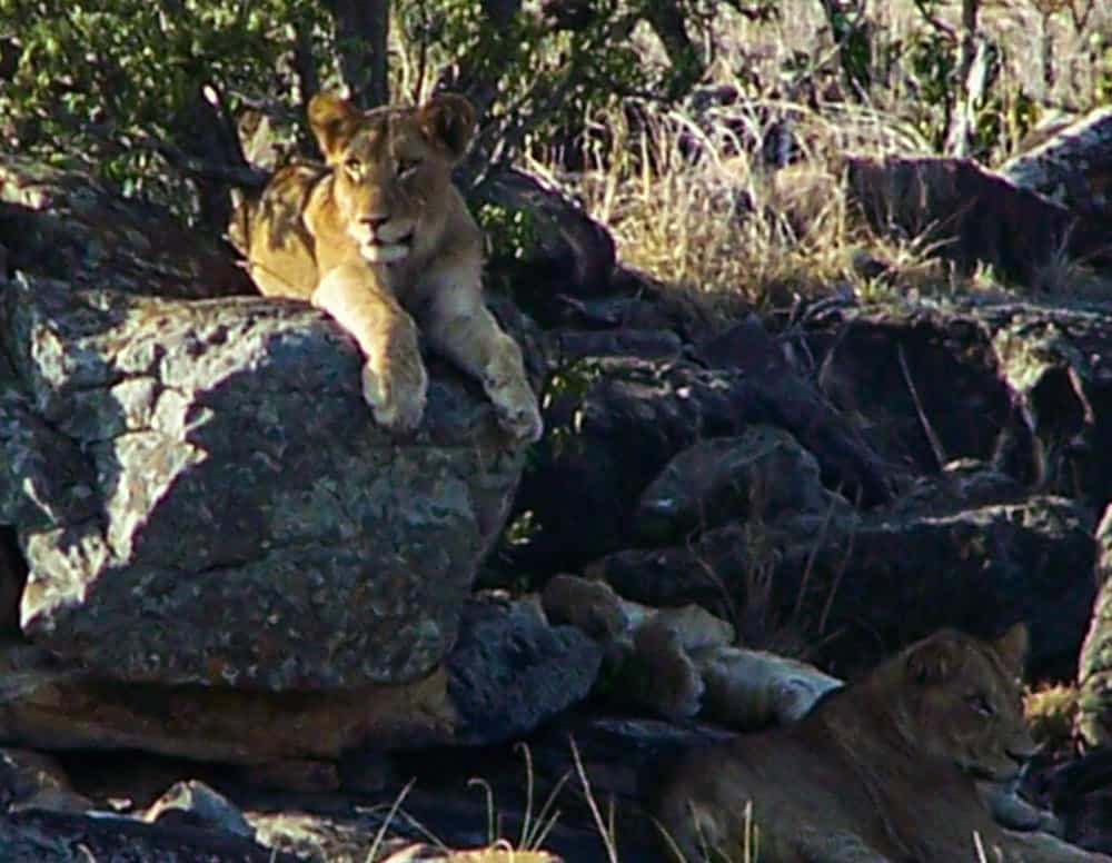 jill-mathew-100_0708-1024x795-1