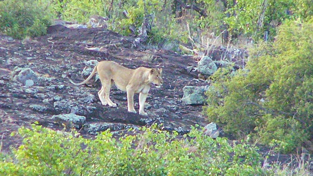 jill-mathew-100_0725-edited