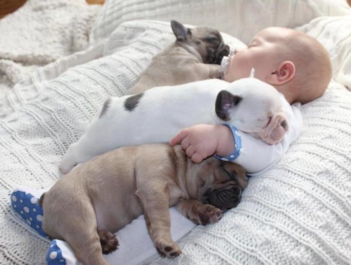 1695167077_602_heartwarming-unity-community-bands-together-to-care-for-young-boy