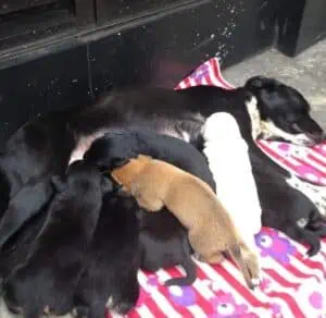 1_hombre-sin-hogar-4-1-300x292-1