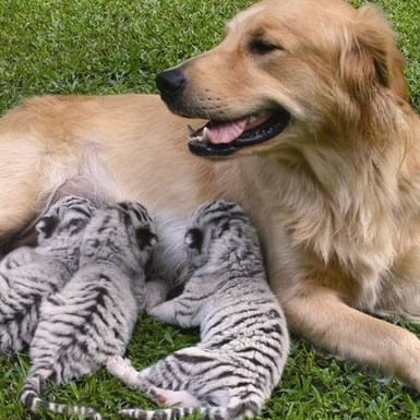 354292280_3675063576054913_415419611741489006_n-1