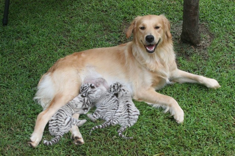 355434720_975664560295540_1526523671781040255_n-1