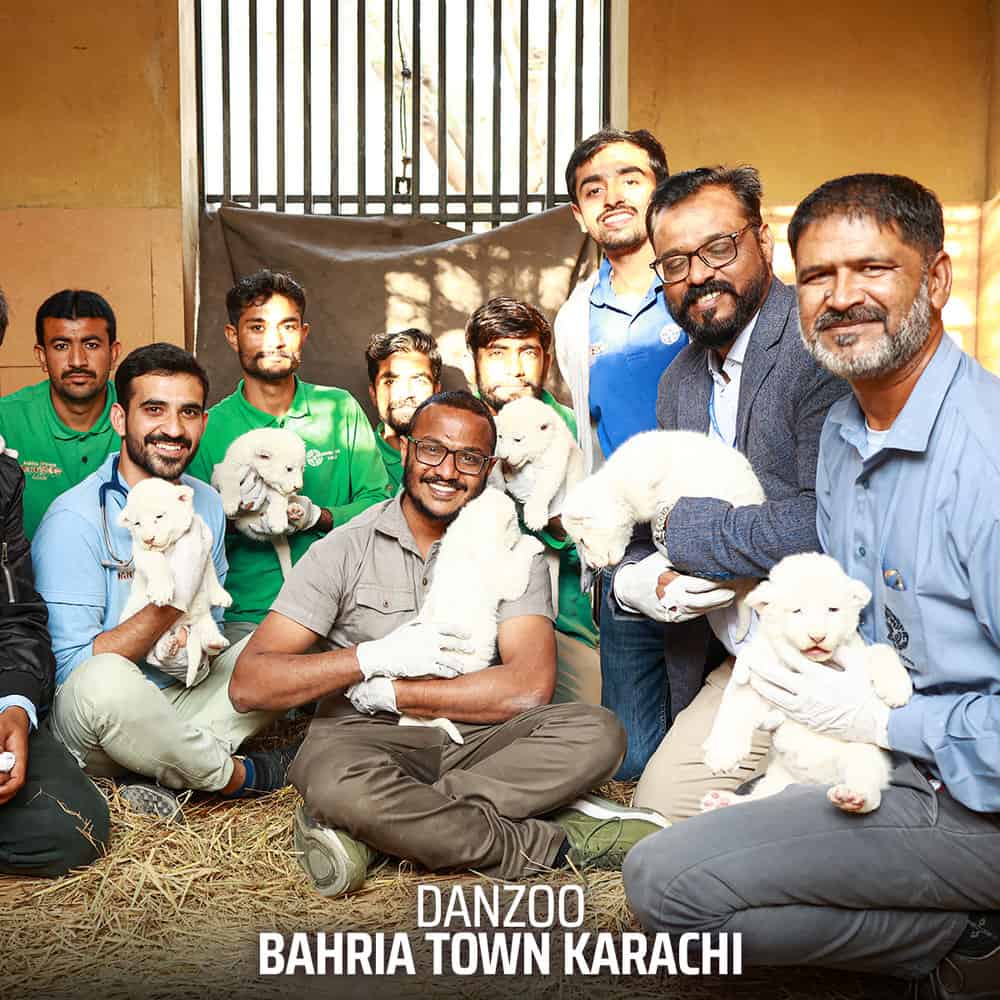 416057540_400247609023585_5203884226528542195_n Có thể là hình ảnh về 4 người và văn bản cho biết 'DANZOO BAHRIA TOWN KARACHI'