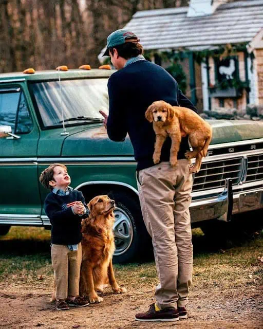 c9d8e56e832268c2814b3ded85c90b0a