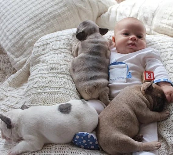 heartwarming-unity-community-bands-together-to-care-for-young-boy
