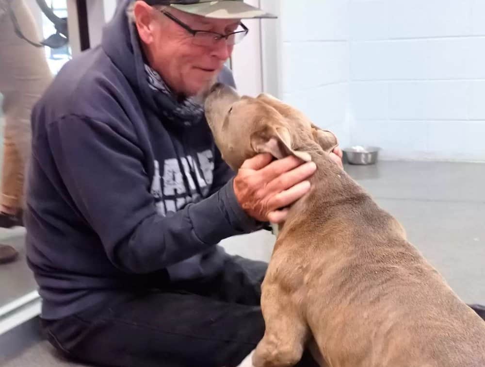 missing-dog-found-after-200-days2