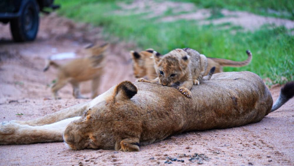 untitled_2-1-10-1-1024x576-1-1