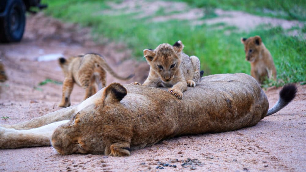 untitled_2-1-11-1024x576-1-1