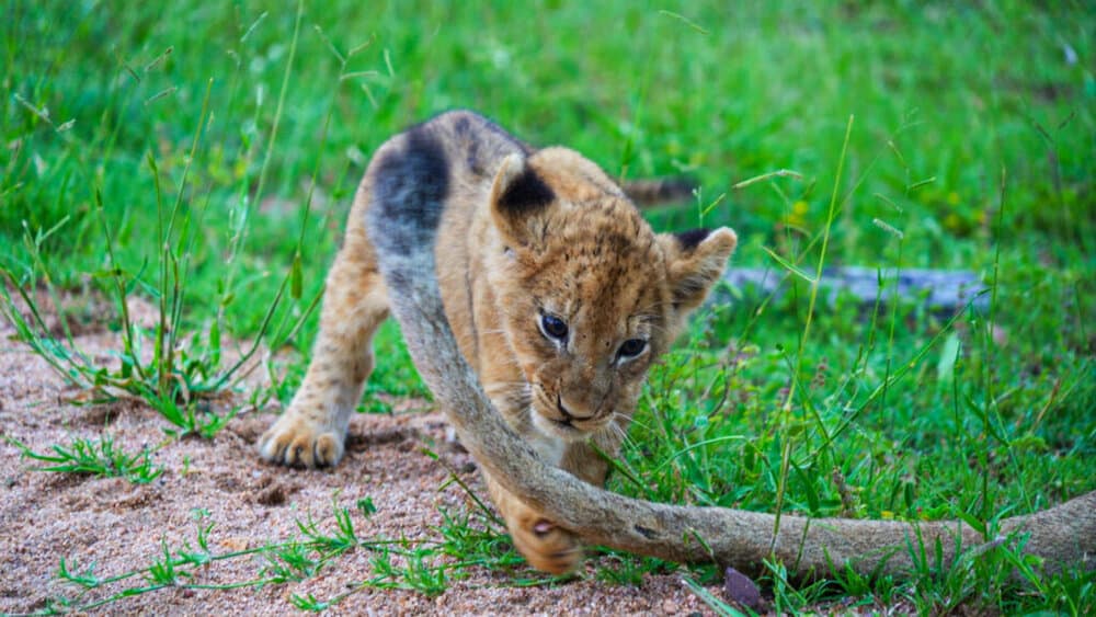 untitled_2-1-12-1024x576-1-1