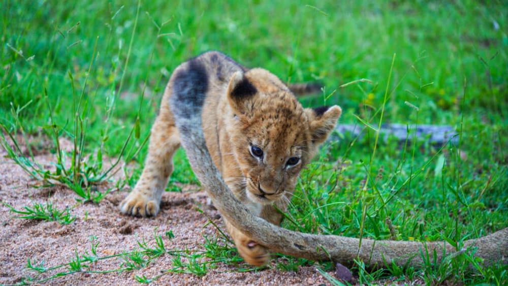 untitled_2-1-12-1024x576-1