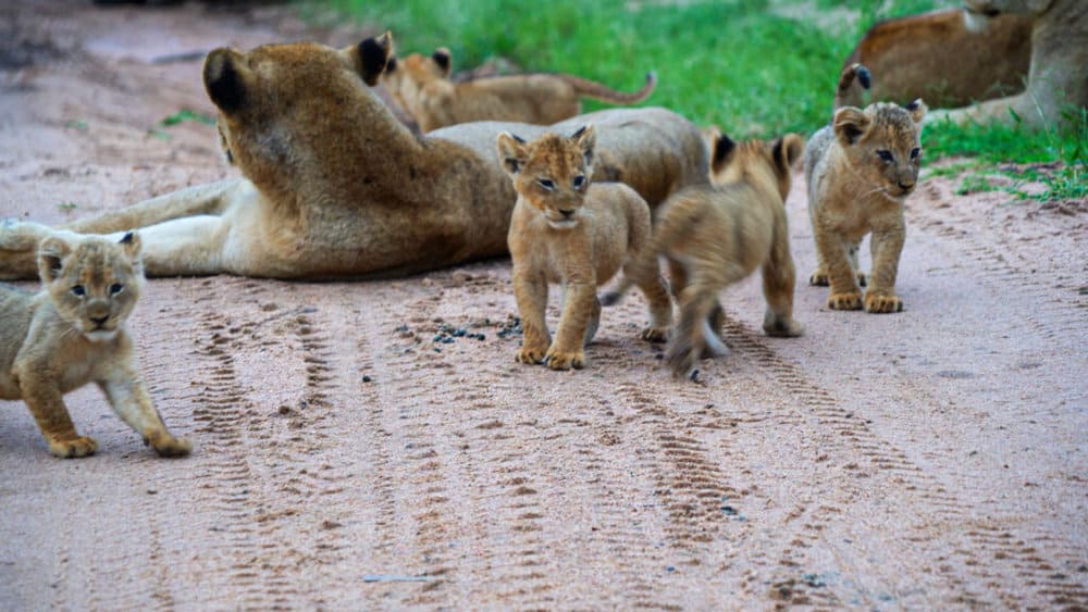 untitled_2-1-3-2-1024x576-1