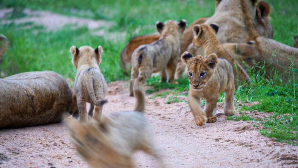 untitled_2-1-4-2-1024x576-1