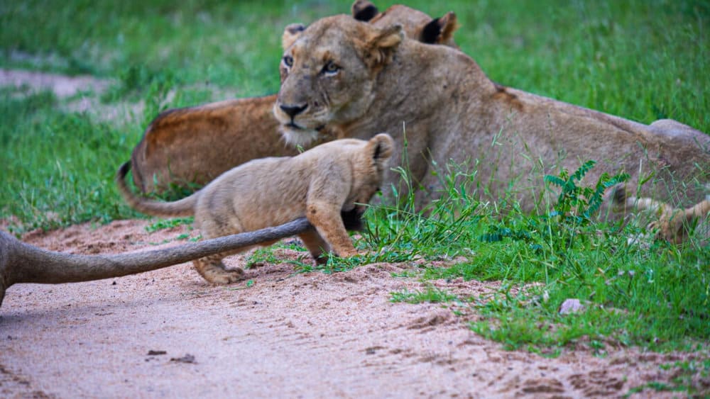 untitled_2-1-7-1-1024x576-1