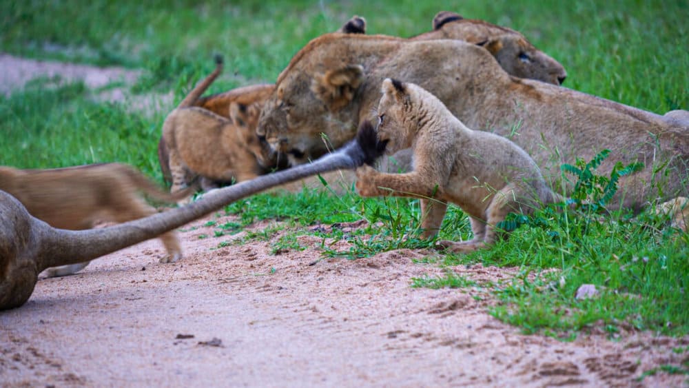 untitled_2-1-8-1-1024x576-1