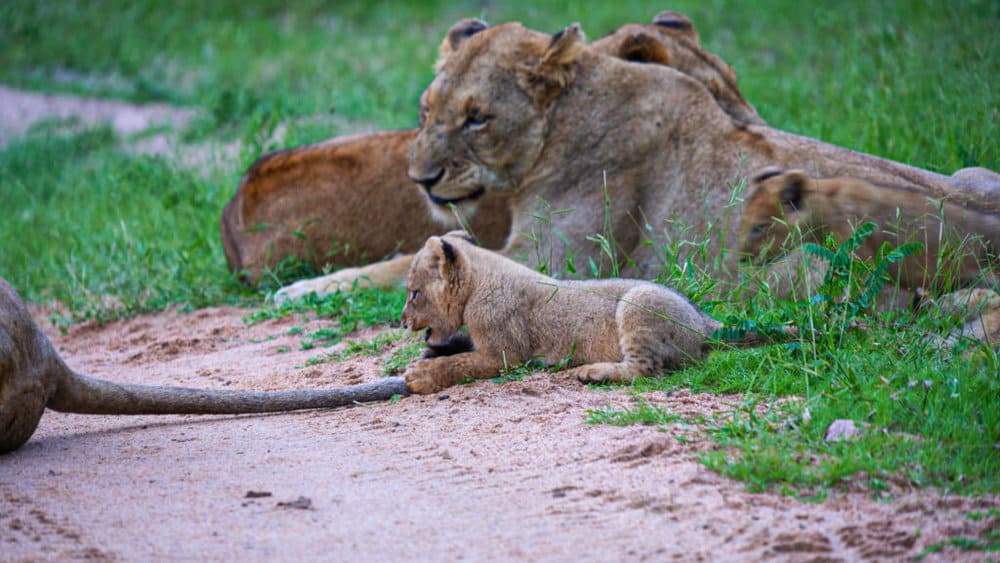 untitled_2-1-9-1-1024x576-1