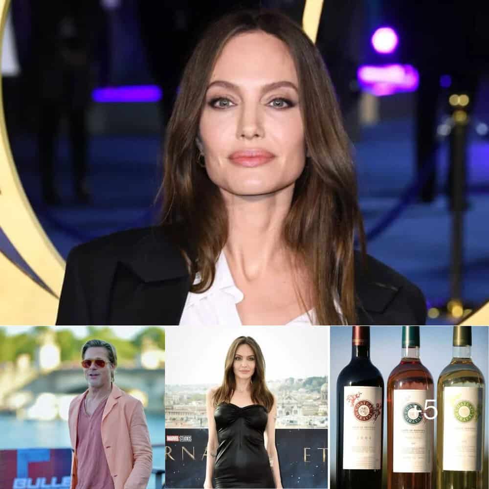 Angelina Jolie's Former Company Sues Brad Pitt For $250 Million Over Chateau Miraval Dispute