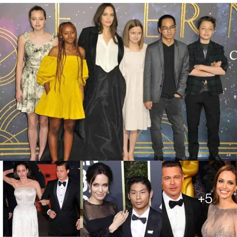 Brad Pitt's Struggles After Divorce Alienation From Kids And Character Assassinations