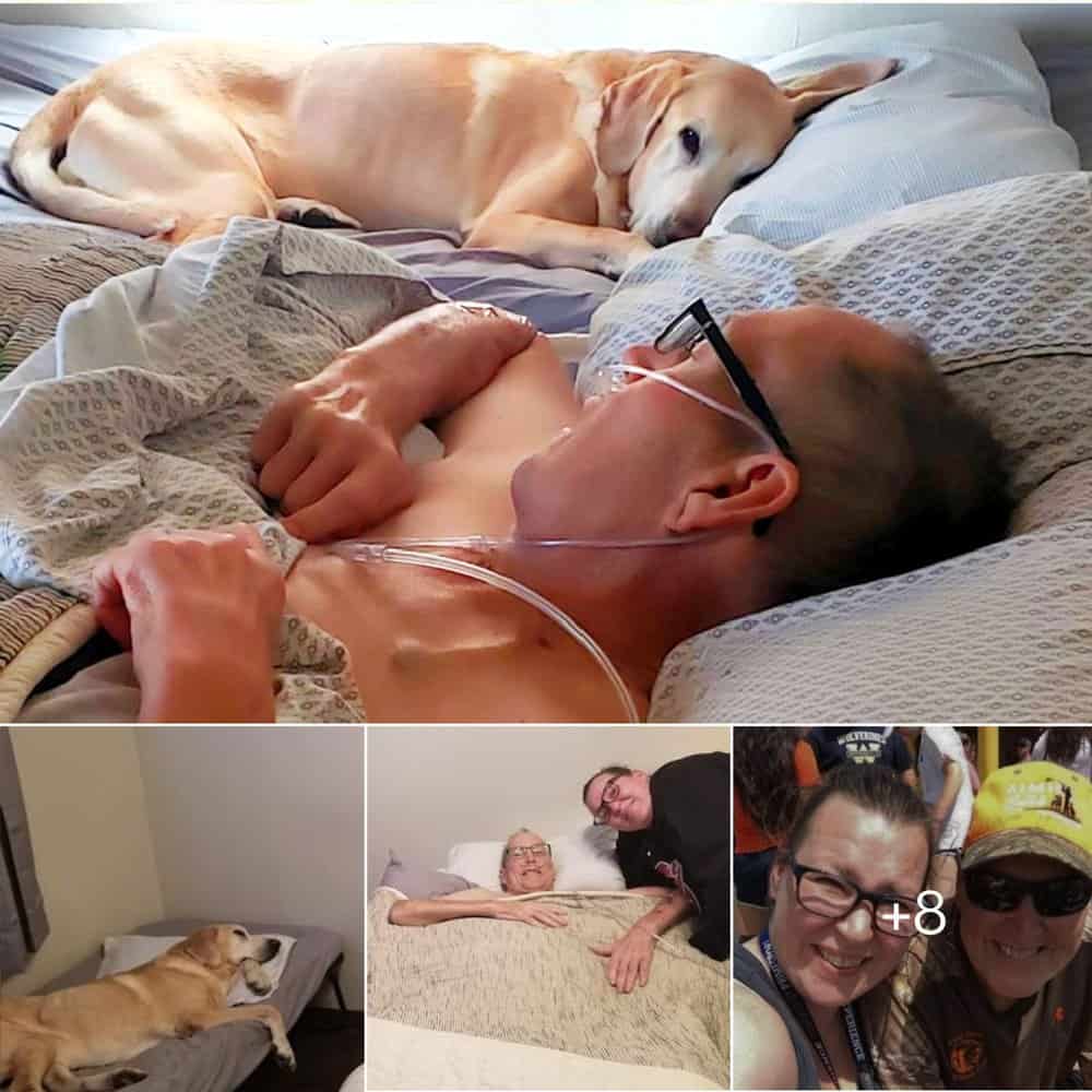 Heartbreaking Tale Of Air Force Veteran And His Loyal Dog Passing Away Within Hours Of Each Other