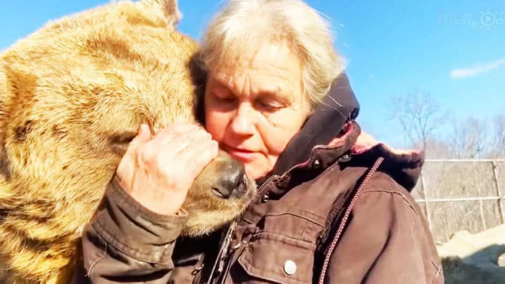 Video Adorable Bear Cuddles With Woman Relaxing Next To Her