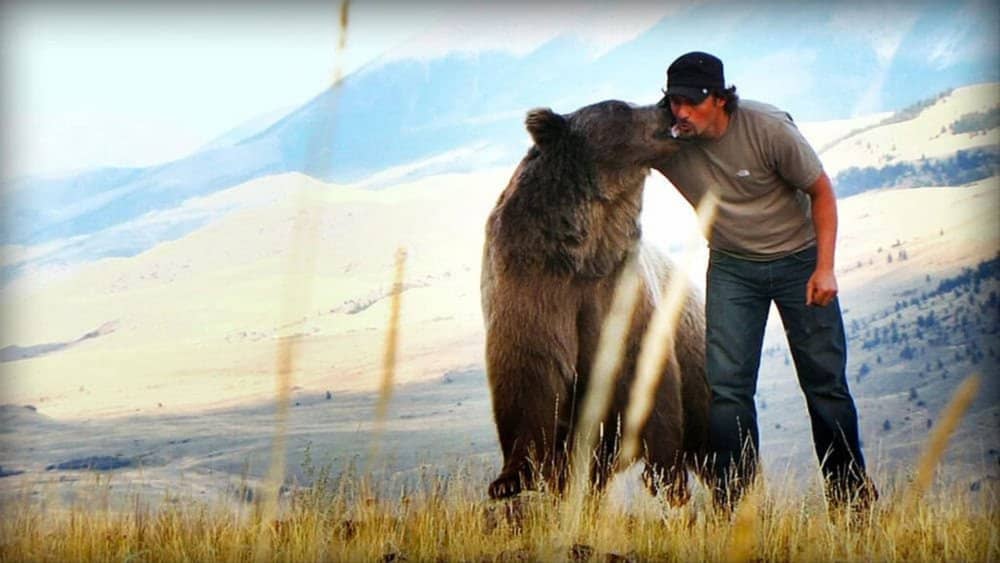 Video From Abandoned Cub To Best Man The Extraordinary Bond Between A Man And A Grizzly Bear