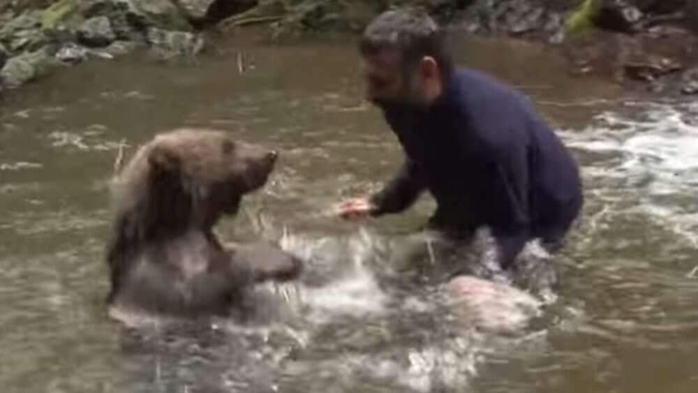 Video Unbelievable Encounter Man Befriends Wild Bear In Heartwarming River Play!