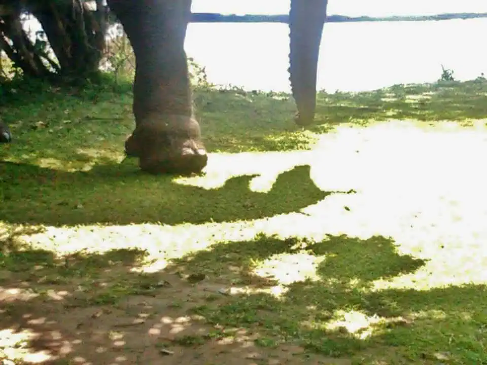 Image 22