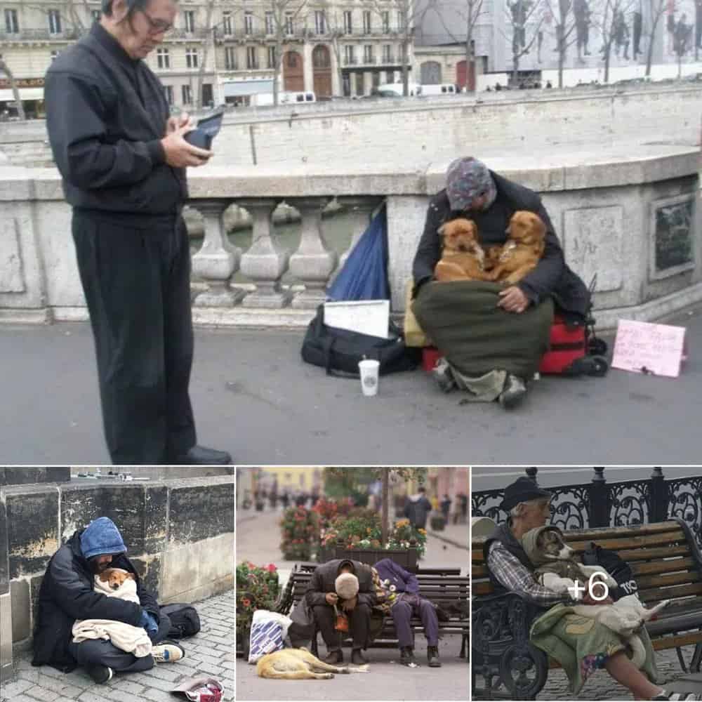 A Heartwarming Tale Of Friendship The Homeless Man And His Loyal Dog