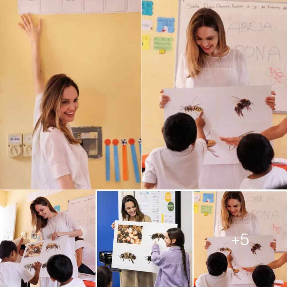 Angelina Jolie Champions Bee Conservation In Mexico, Engaging Students In Yucatan