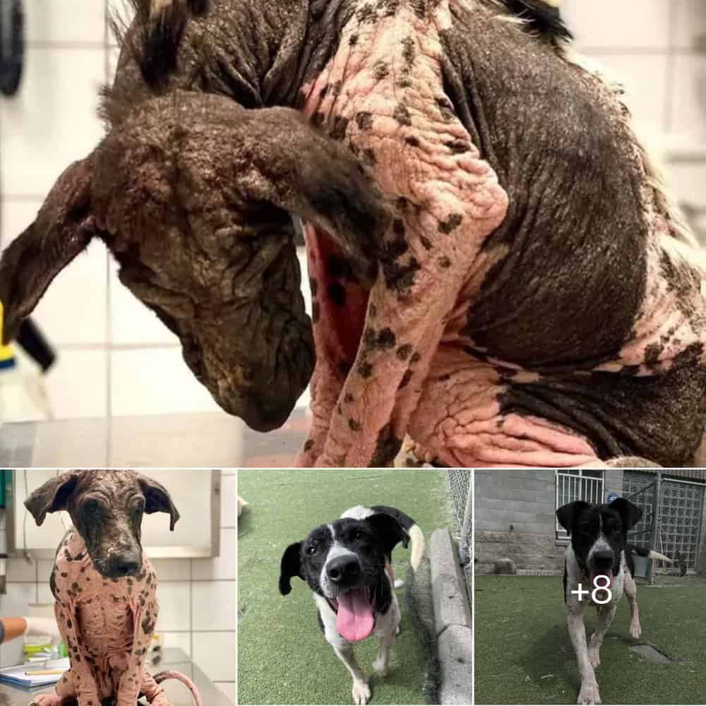 From Chains To Comfort Gema's Incredible Journey Of Transformation