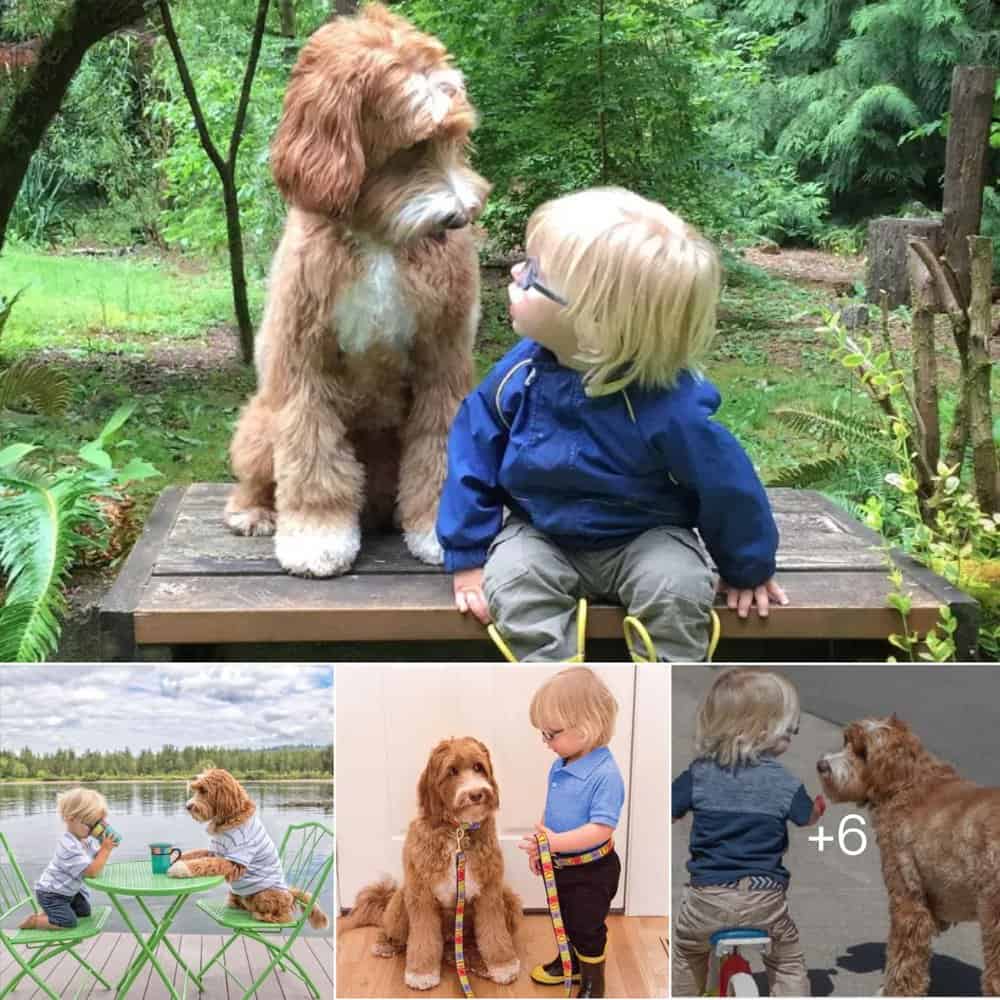 Heartwarming Bond Between Baby And Dog Captures Thousands Of Hearts Online