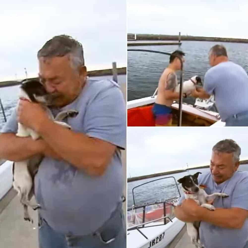 Brave Terrier Rescued From Sea Reunites With Emotional Owner