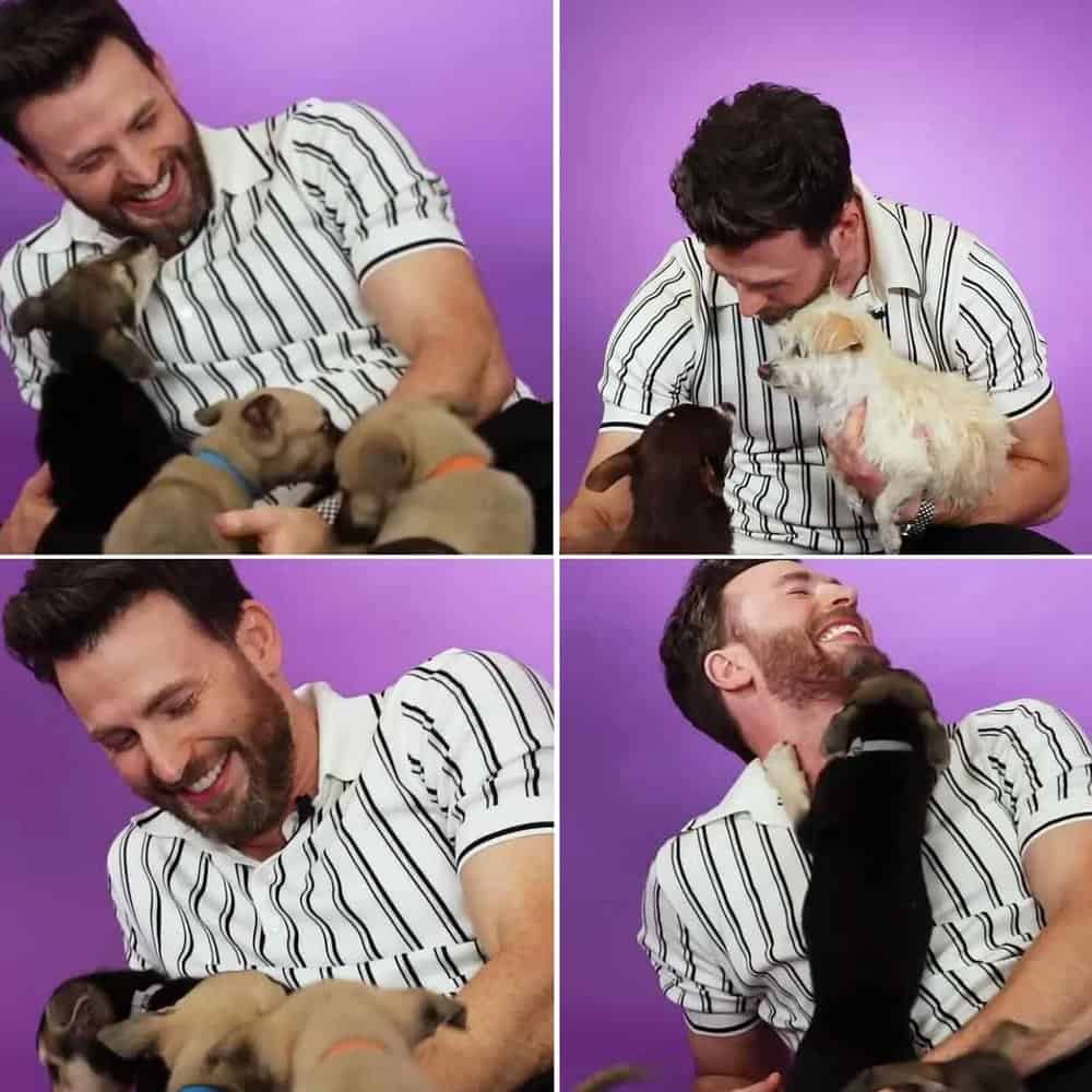 Chris Evans Wins Hearts With His Love For Senior Dogs