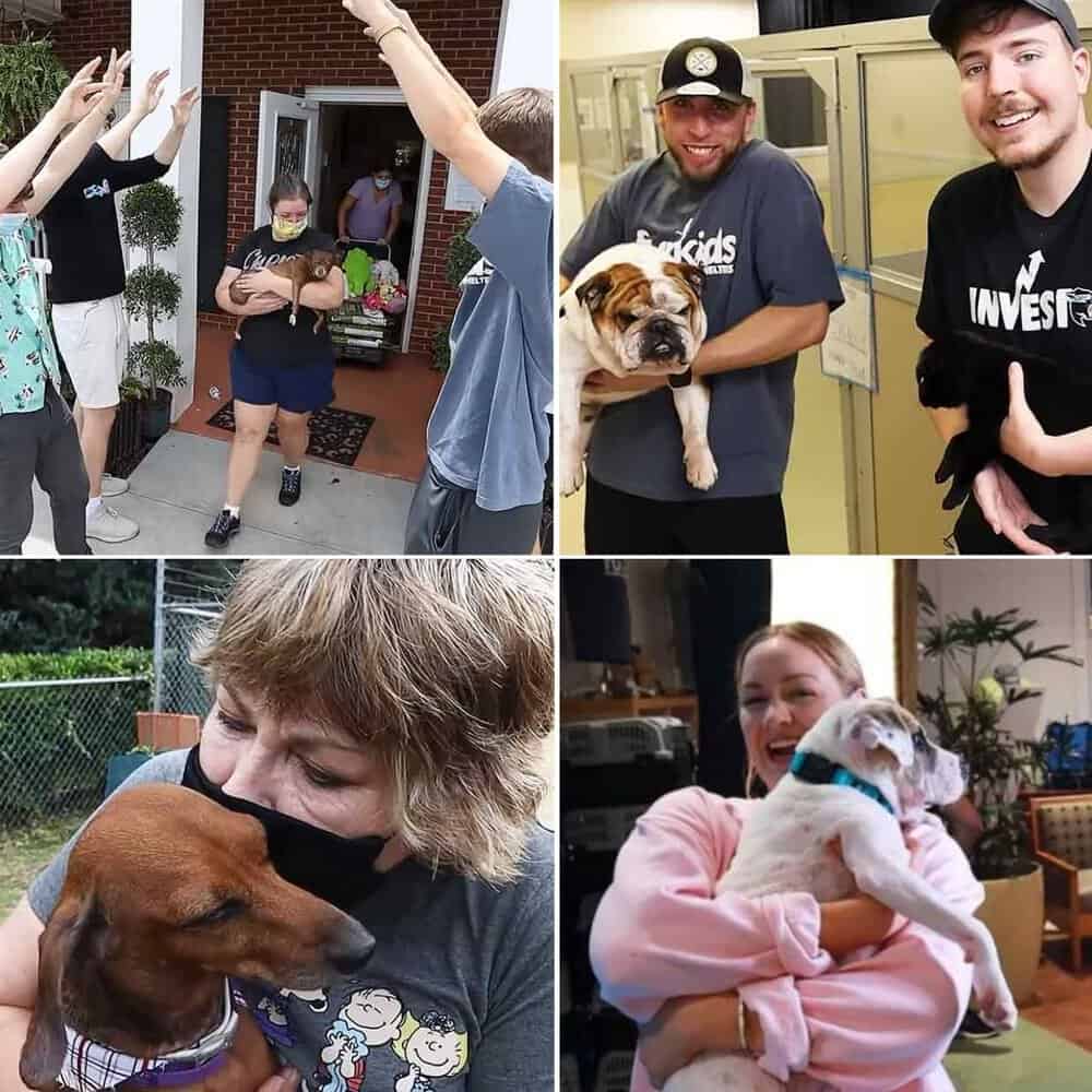 Youtuber Finds Homes For Every Dog In Georgia Shelter