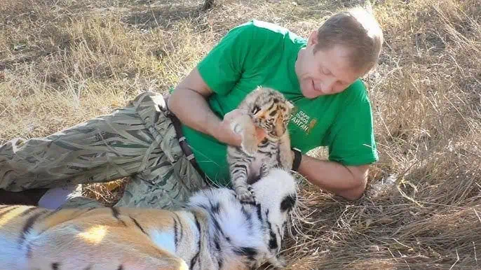 Experience the unbreakable bond between a Wildlife Guardian and her Tiger Cubs. 4 Image 2