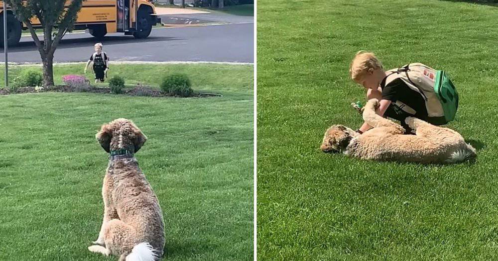 A Heartwarming School Bus Reunion Maggie's Daily Joy