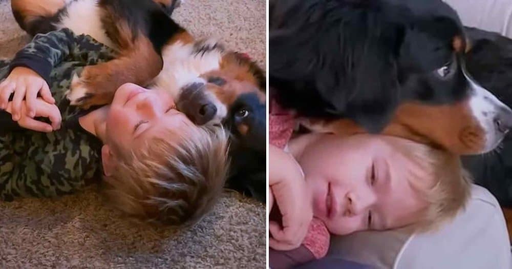 Boy Writes Heartfelt Letter To His Beloved Dog