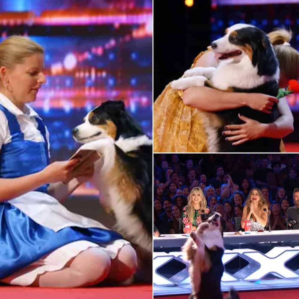 Dog And Owner Win Hearts With Charming Agt Audition