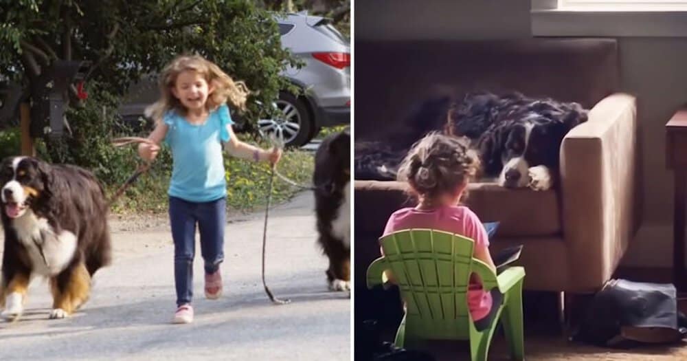 Giant Dogs Share A Special Bond With Their Little Sister