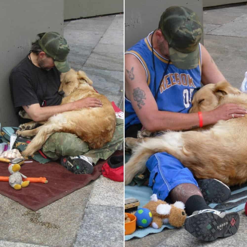 Heartwarming Bond Between Homeless Man And His Loyal Dogs Touches Millions Worldwide